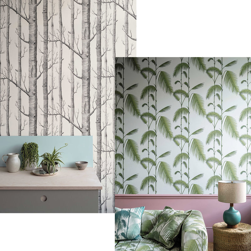 The Contemporary Collection