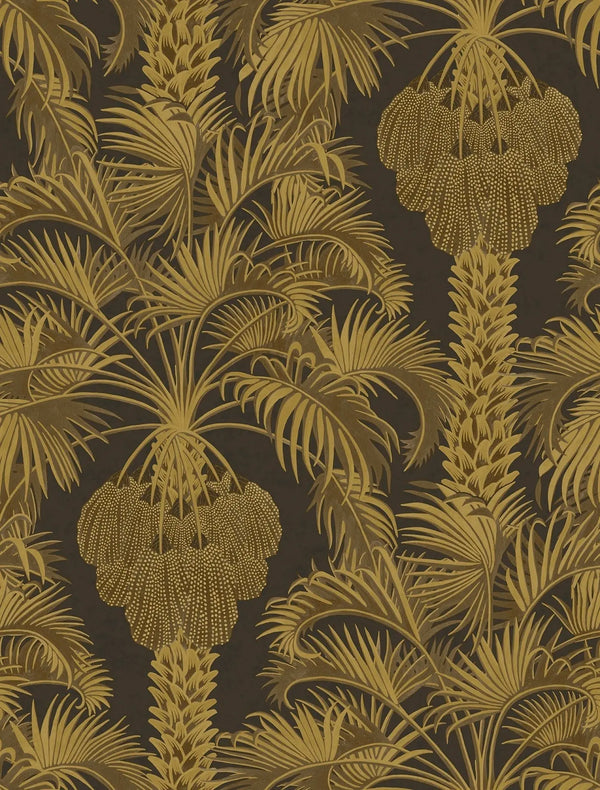 Hollywood Palm