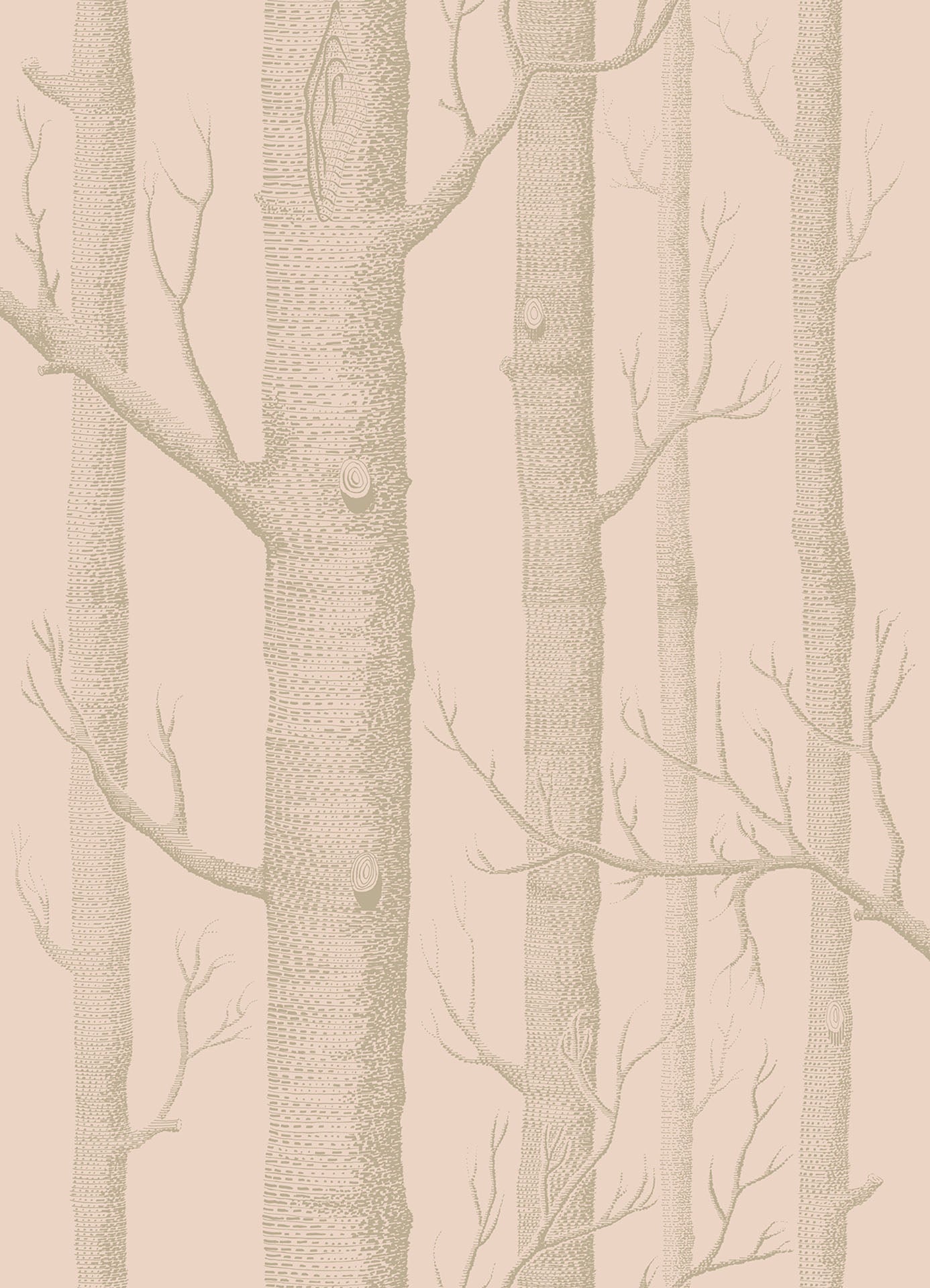 Woods - Metallic Gilver on Ballet Slipper