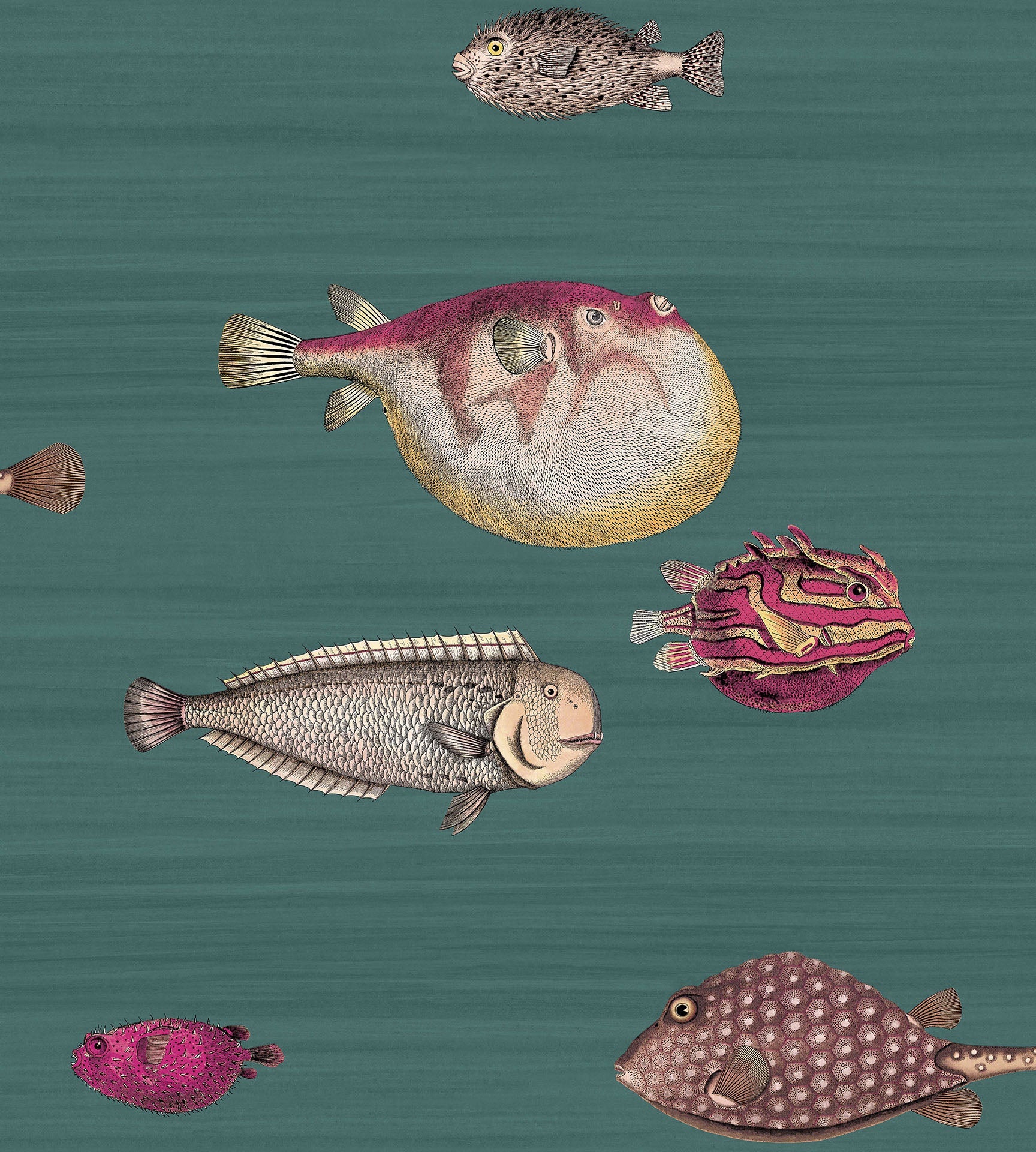 fish wallpaper cole and son