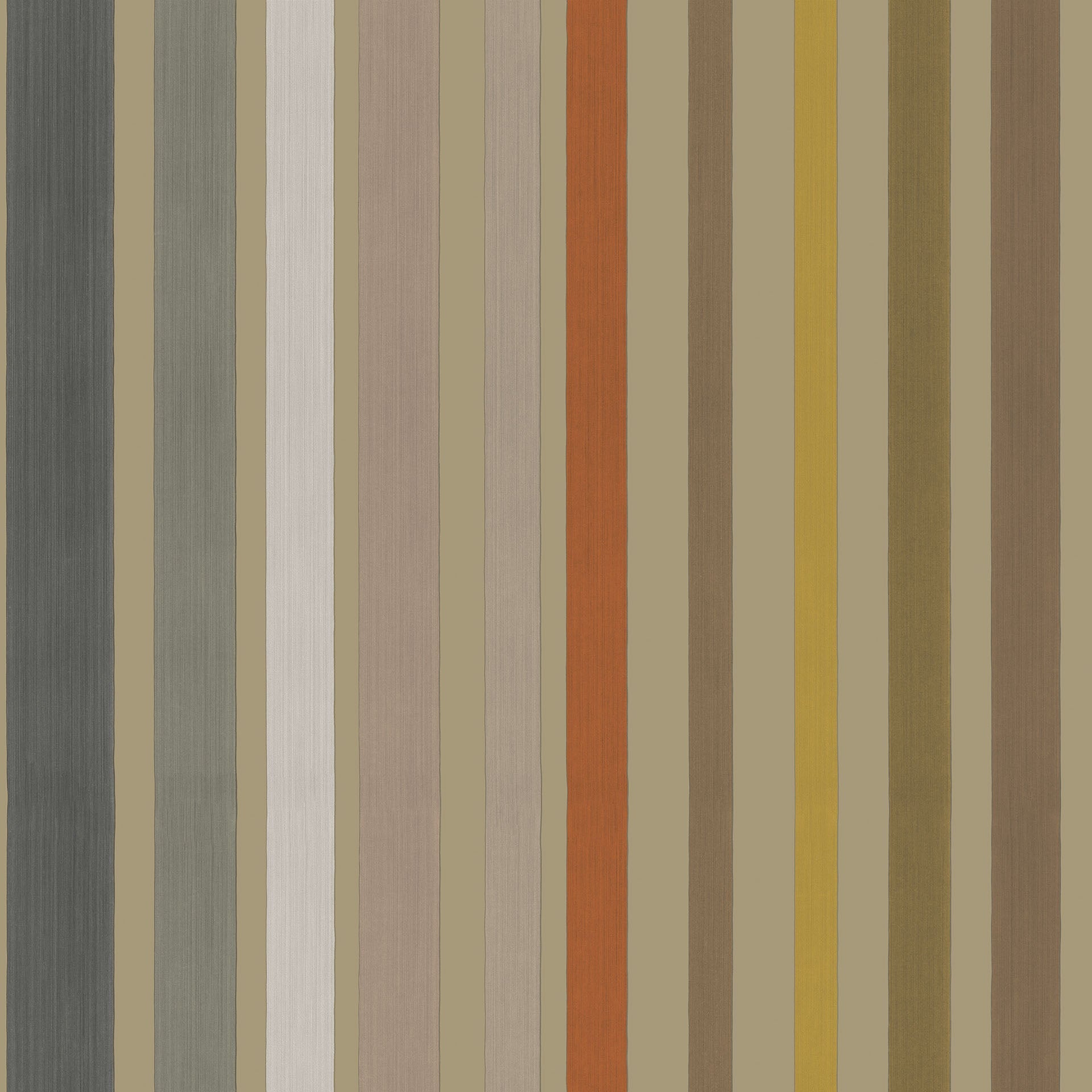 Carousel Stripe Mariinsky
