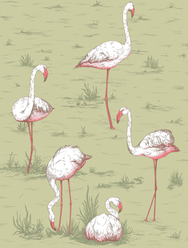 Flamingos Icons