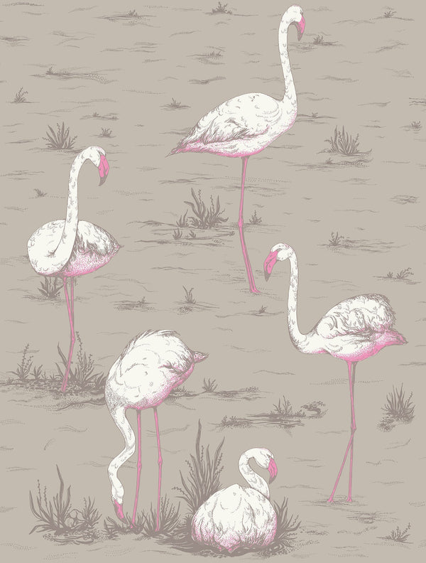 Flamingos