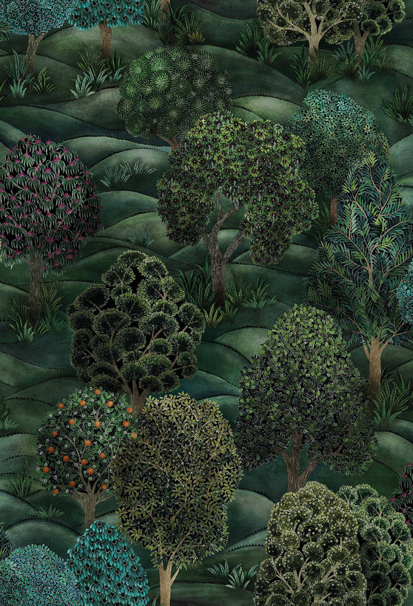 Forest