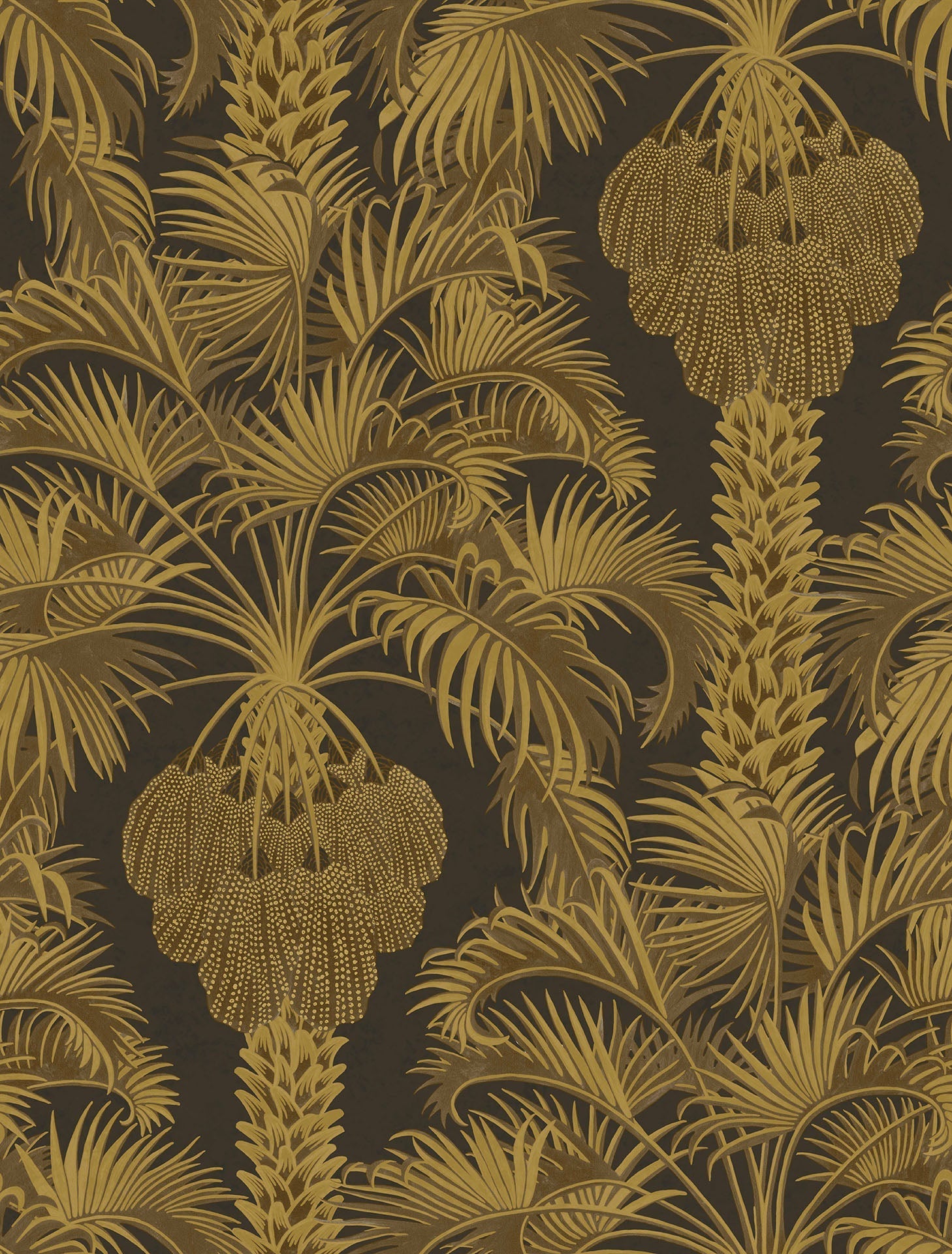 Hollywood Palm
