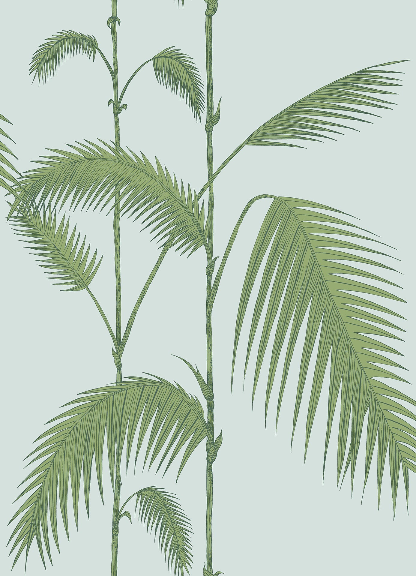 Palm Leaves Wallpaper - Cole & Son – Cole & Son (Wallpapers) Ltd