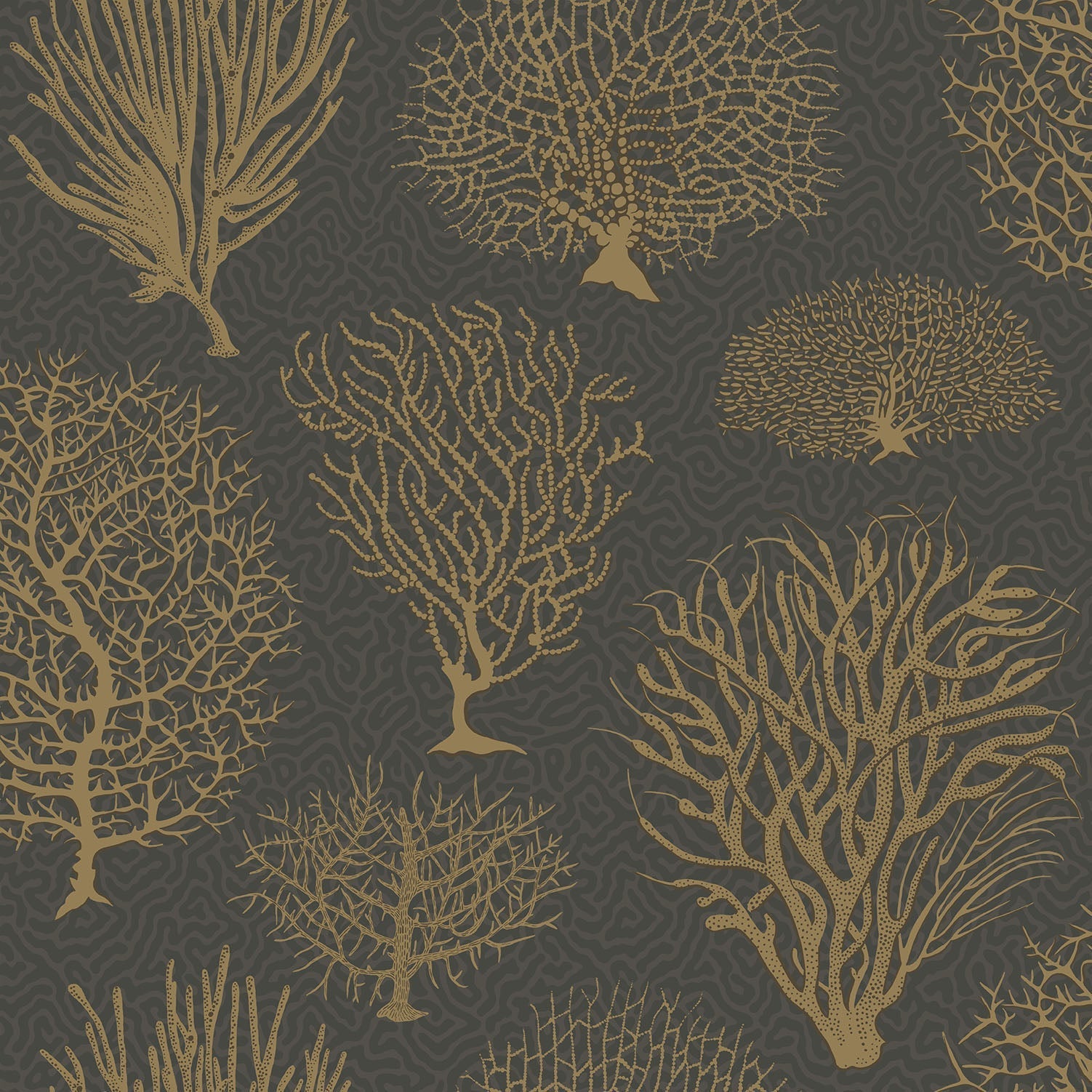 Seafern wallpaper by Cole & Son