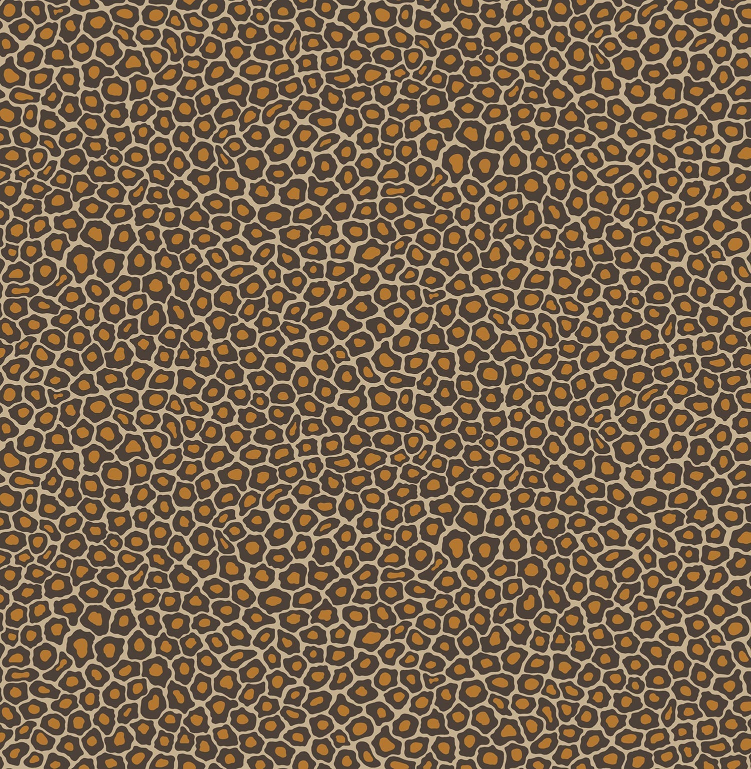 Senzo Spot