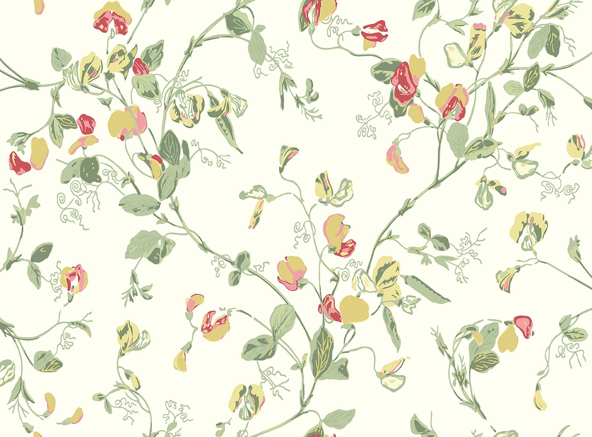 Sweet Pea Archive Anthology