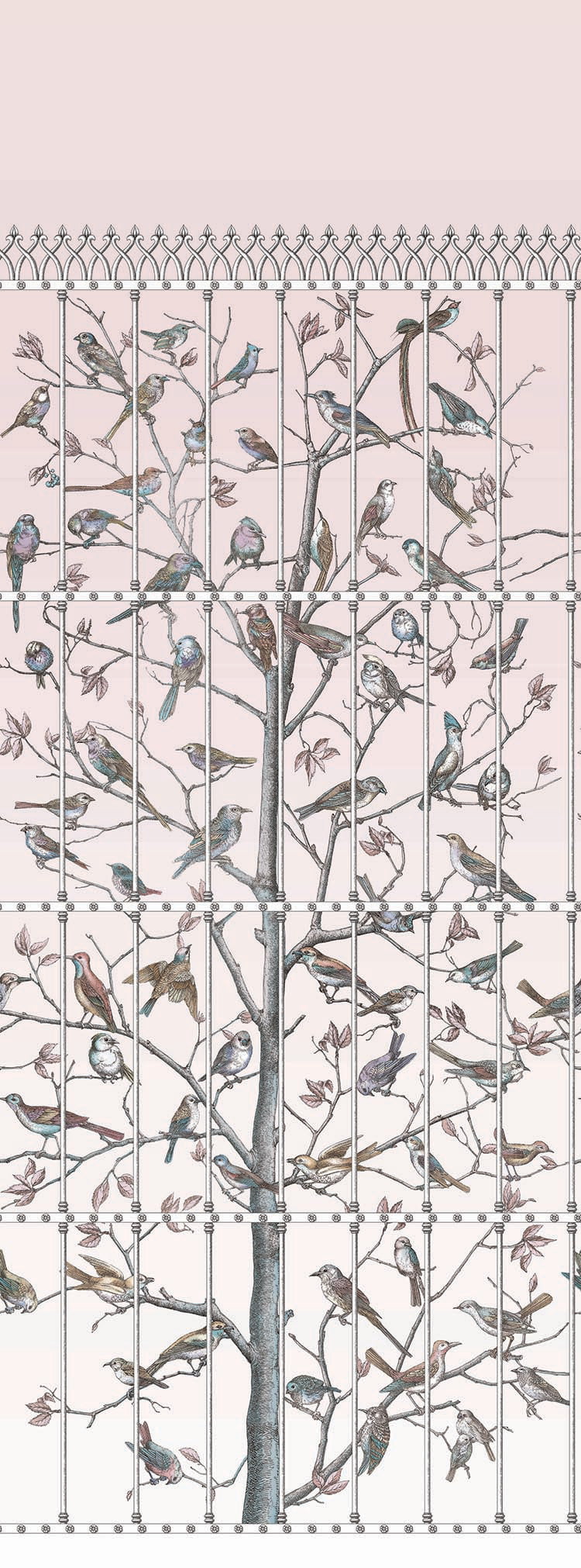 Uccelli wallpaper by Cole & Son